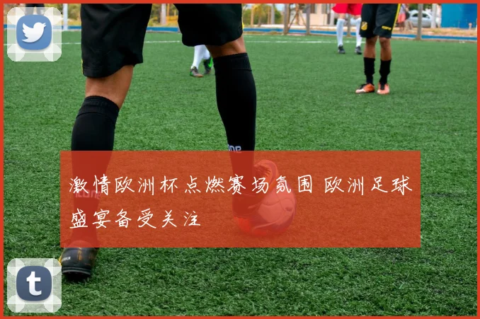 激情欧洲杯点燃赛场氛围 欧洲足球盛宴备受关注