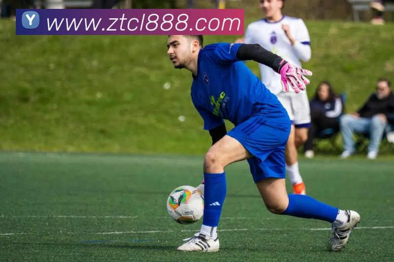 奖项证书
